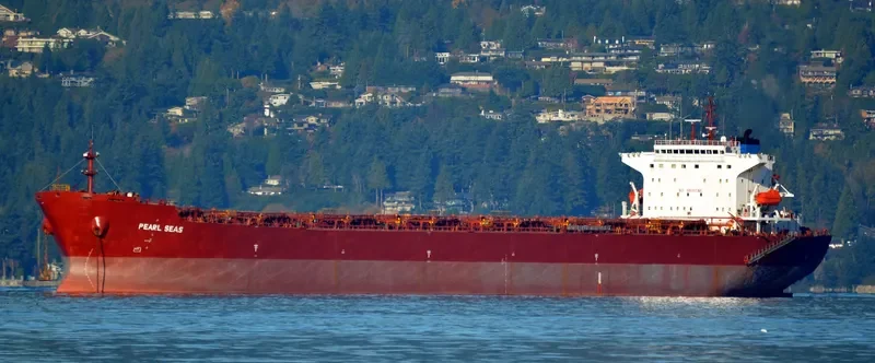 NAN XIN 27 Bulk Carrier IMO 9358838 photo 2