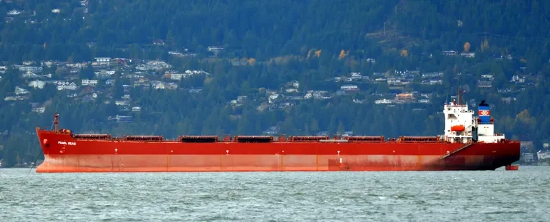 NAN XIN 27 Bulk Carrier IMO 9358838 photo 4