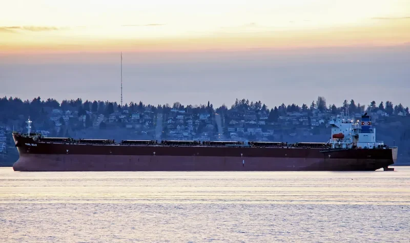 NAN XIN 27 Bulk Carrier IMO 9358838 photo 5