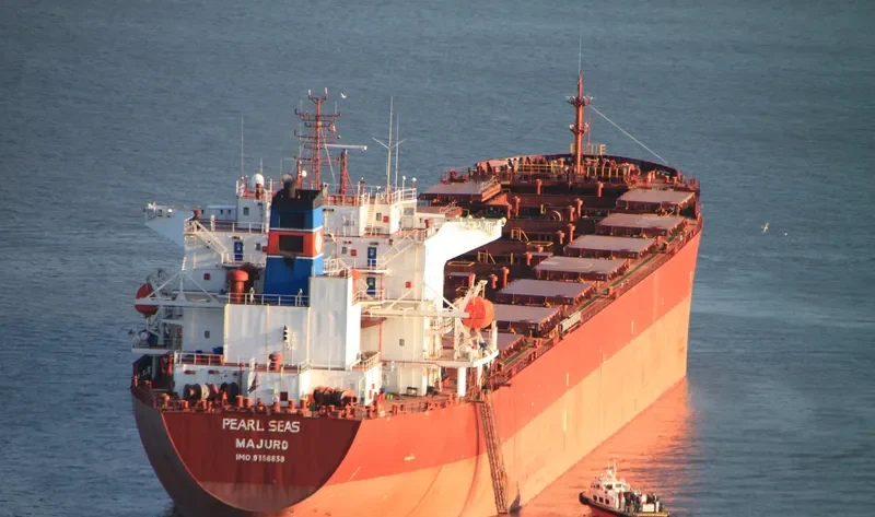 NAN XIN 27 Bulk Carrier IMO 9358838 photo 7