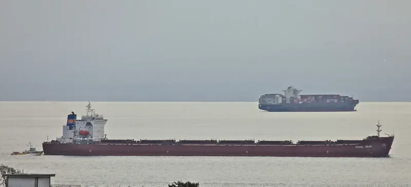 NAN XIN 27 Bulk Carrier IMO 9358838 photo 10