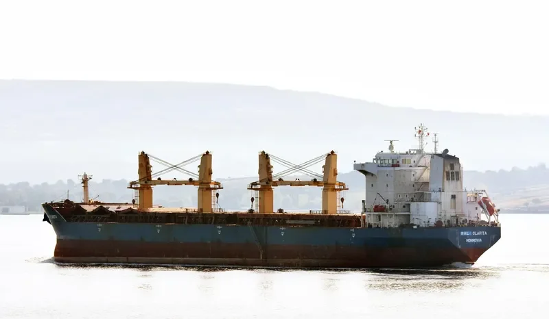 RHL CLARITA Bulk Carrier IMO 9358864