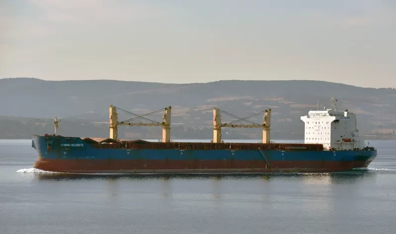 RHL CLARITA Bulk Carrier IMO 9358864 photo 2