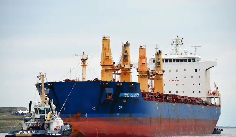 RHL CLARITA Bulk Carrier IMO 9358864 photo 8