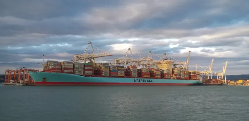 GUNDE MAERSK Container Ship IMO 9359014 photo 7