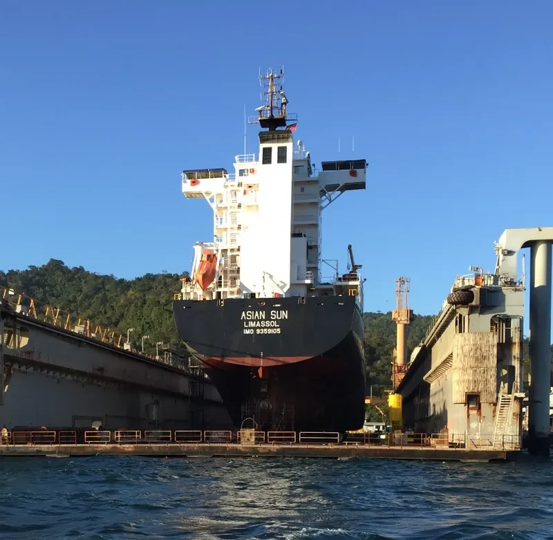 ASIAN SUN Container Ship IMO 9359105 photo 3