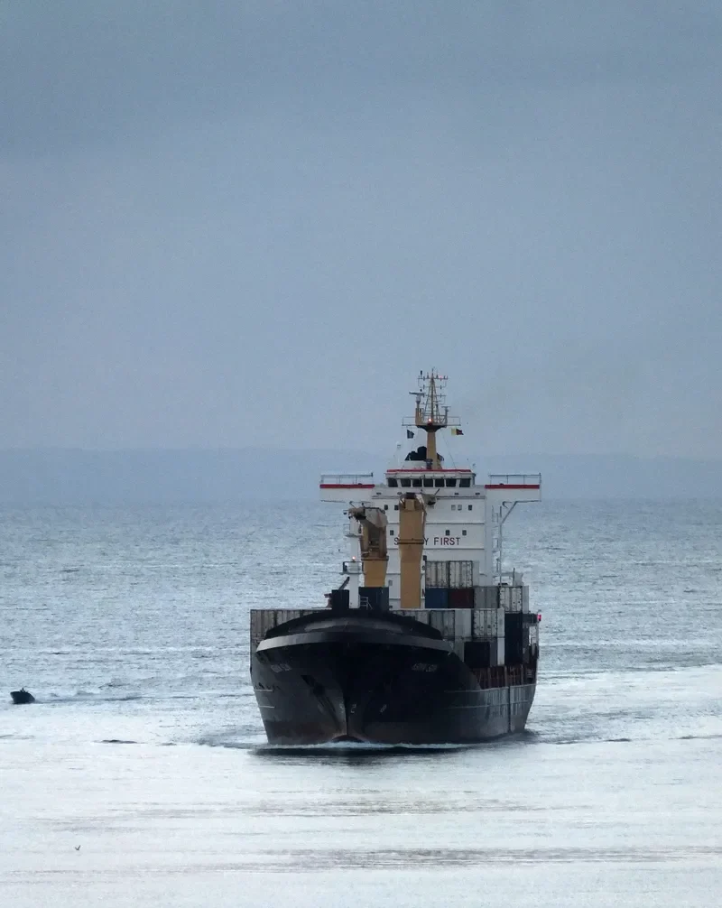 ASIAN SUN Container Ship IMO 9359105 photo 5