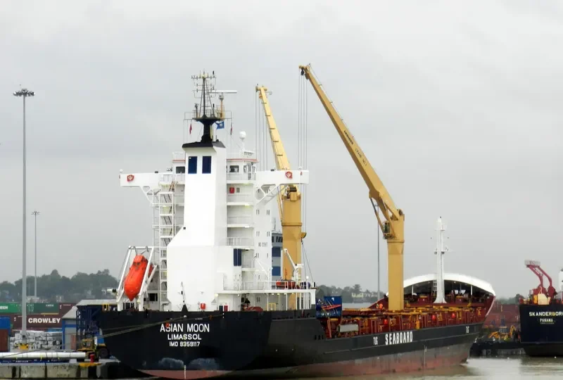 ASIAN MOON Container Ship IMO 9359117
