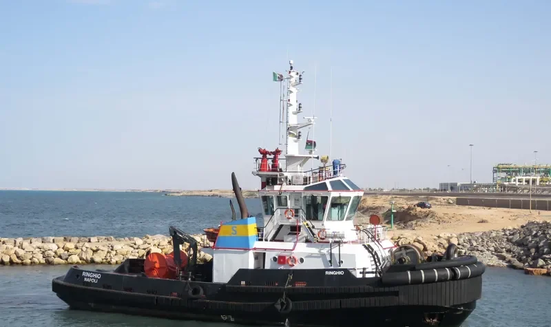 RINGHIO General Cargo IMO 9359193 photo 2