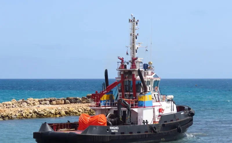 RINGHIO General Cargo IMO 9359193 photo 4