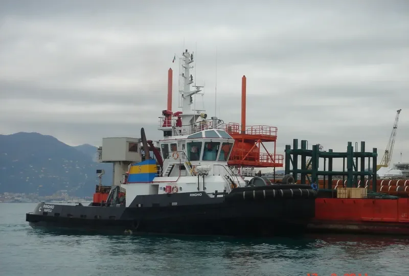 RINGHIO General Cargo IMO 9359193 photo 7