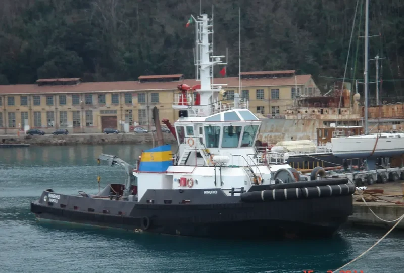 RINGHIO General Cargo IMO 9359193 photo 8