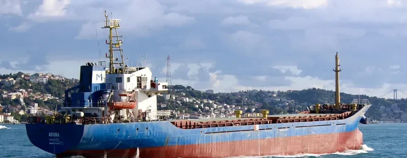 ASVIRA General Cargo IMO 9359210 photo 6