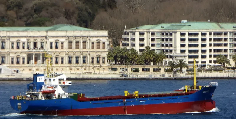 ASVIRA General Cargo IMO 9359210 photo 9