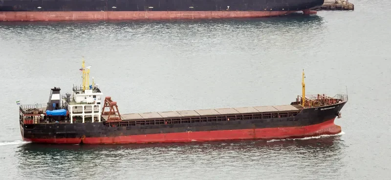 SILVER DREAM General Cargo IMO 9359222 photo 2
