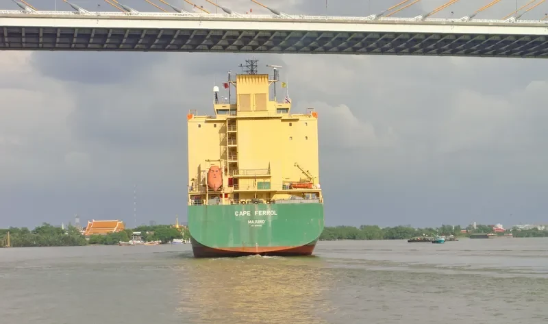 CAPE FERROL Container Ship IMO 9359325 photo 2