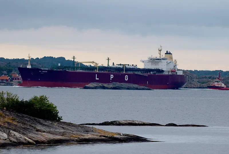AL WUKIR General Cargo IMO 9359466 photo 4