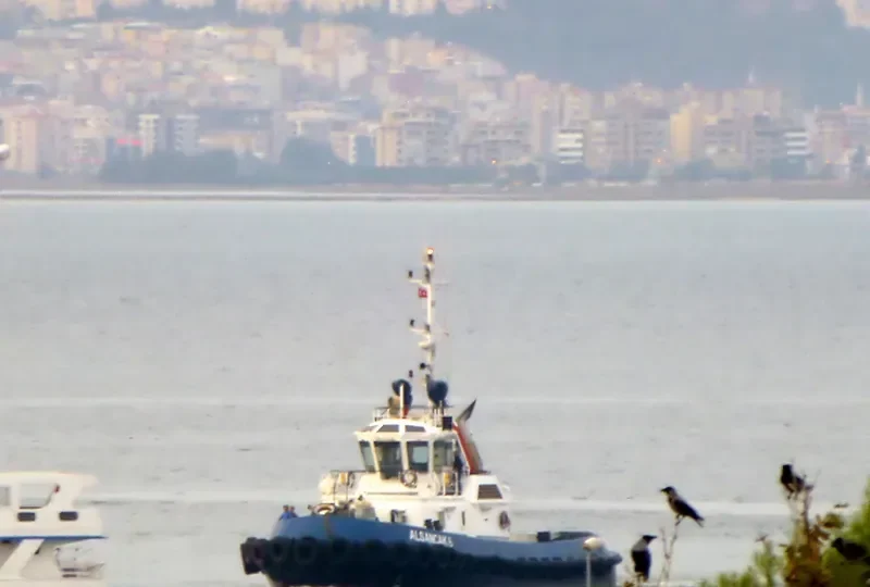 SAFI 12 General Cargo IMO 9359507 photo 3