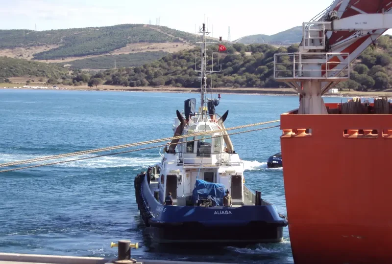 SAFI 12 General Cargo IMO 9359507 photo 9