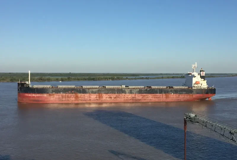 KM MT.JADE Bulk Carrier IMO 9359545