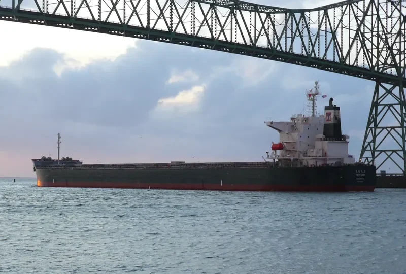 KM MT.JADE Bulk Carrier IMO 9359545 photo 8