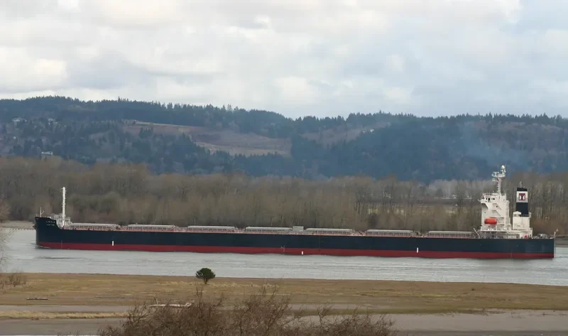 KM MT.JADE Bulk Carrier IMO 9359545 photo 10