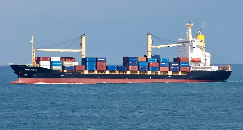 SOUTHERN MOANA Container Ship IMO 9359674