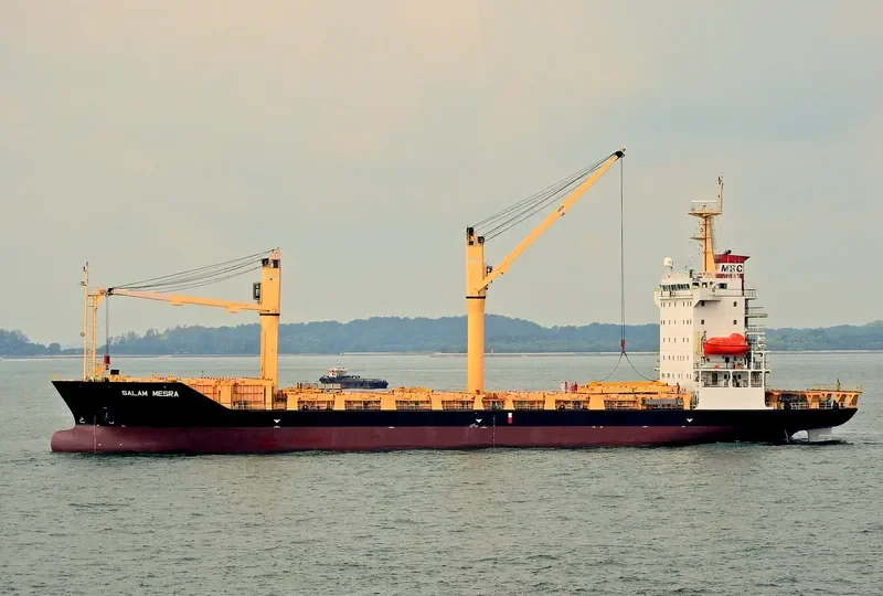 SOUTHERN MOANA Container Ship IMO 9359674 photo 2