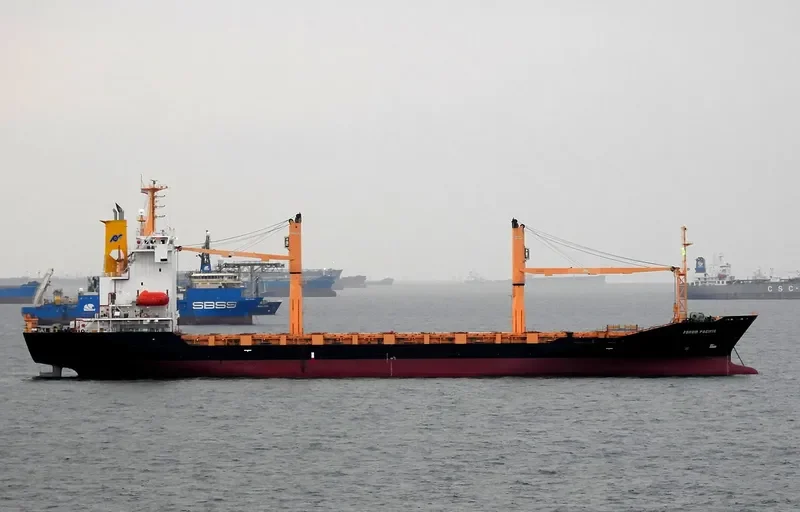 SOUTHERN MOANA Container Ship IMO 9359674 photo 3
