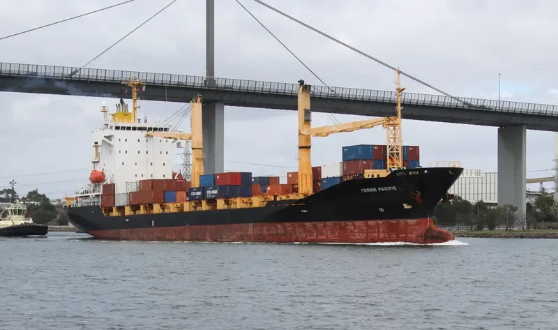 SOUTHERN MOANA Container Ship IMO 9359674 photo 4