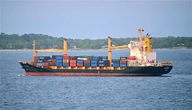SOUTHERN MOANA Container Ship IMO 9359674 photo 5