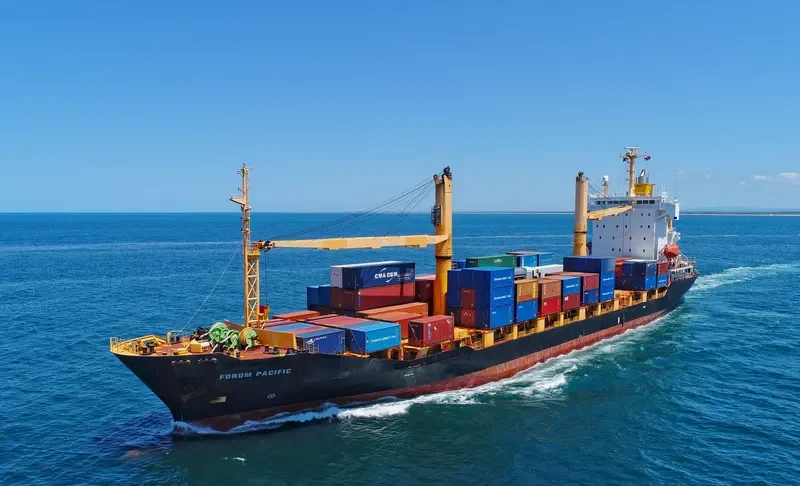 SOUTHERN MOANA Container Ship IMO 9359674 photo 6