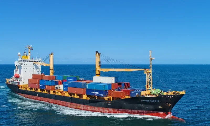 SOUTHERN MOANA Container Ship IMO 9359674 photo 7
