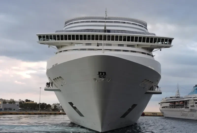 MSC FANTASIA Passenger Ship IMO 9359791 photo 8