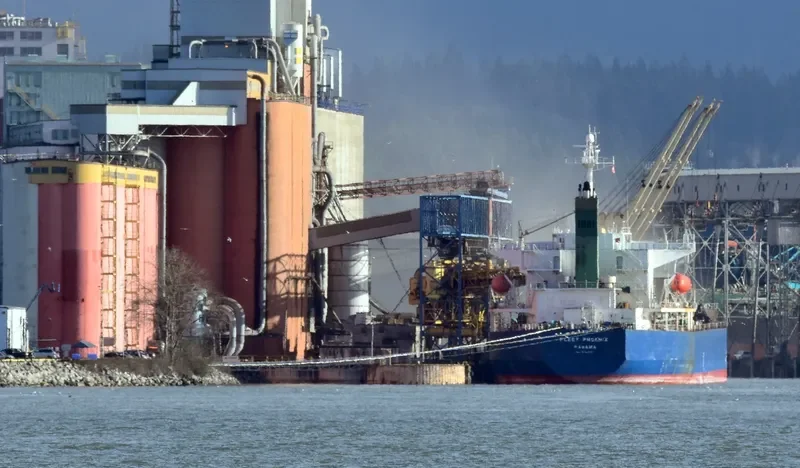 OCEAN GLORY Bulk Carrier IMO 9359818