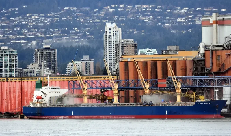 OCEAN GLORY Bulk Carrier IMO 9359818 photo 2