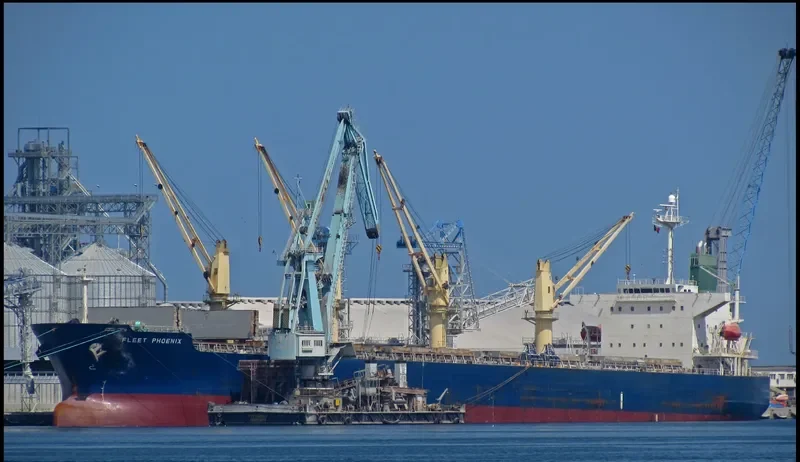 OCEAN GLORY Bulk Carrier IMO 9359818 photo 3