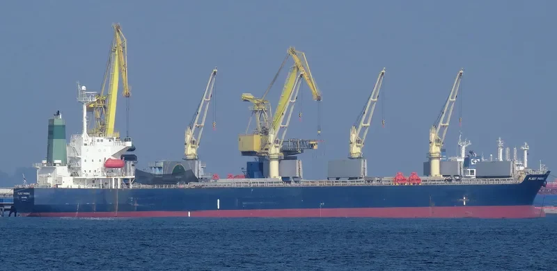 OCEAN GLORY Bulk Carrier IMO 9359818 photo 5