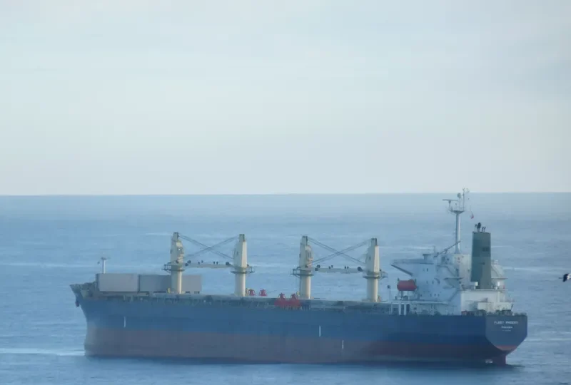 OCEAN GLORY Bulk Carrier IMO 9359818 photo 6