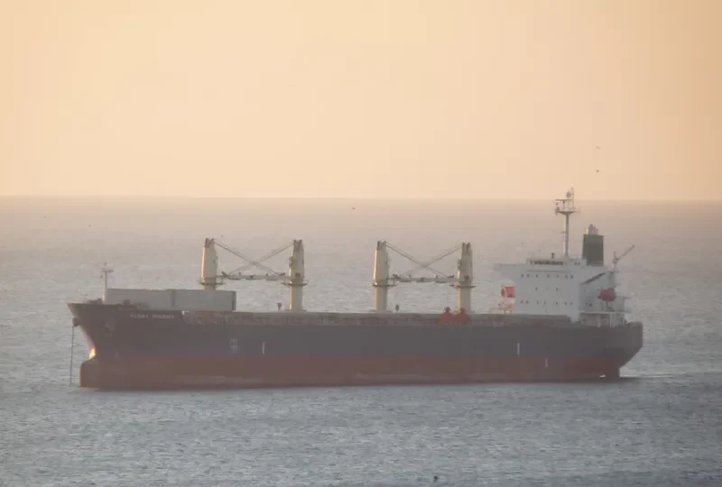 OCEAN GLORY Bulk Carrier IMO 9359818 photo 7
