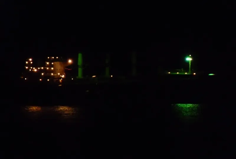 OCEAN GLORY Bulk Carrier IMO 9359818 photo 8
