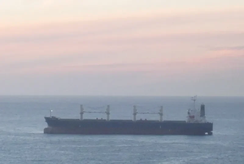 OCEAN GLORY Bulk Carrier IMO 9359818 photo 9