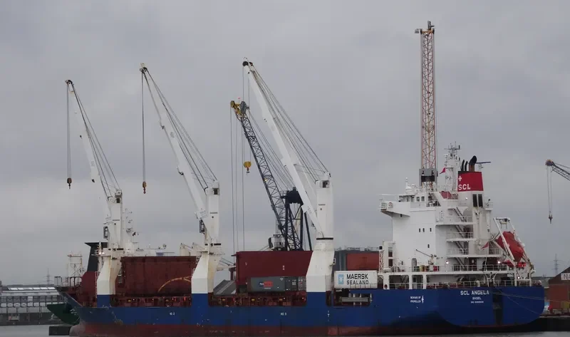 THORCO ANGELA General Cargo IMO 9359935 photo 5