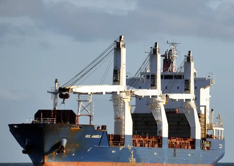 THORCO ANGELA General Cargo IMO 9359935 photo 10