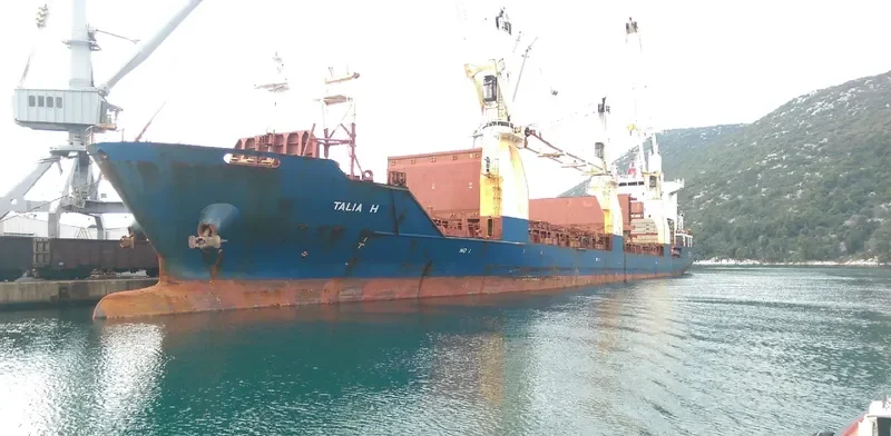 TALIA H General Cargo IMO 9359947