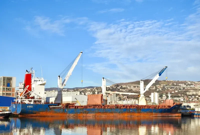 TALIA H General Cargo IMO 9359947 photo 3