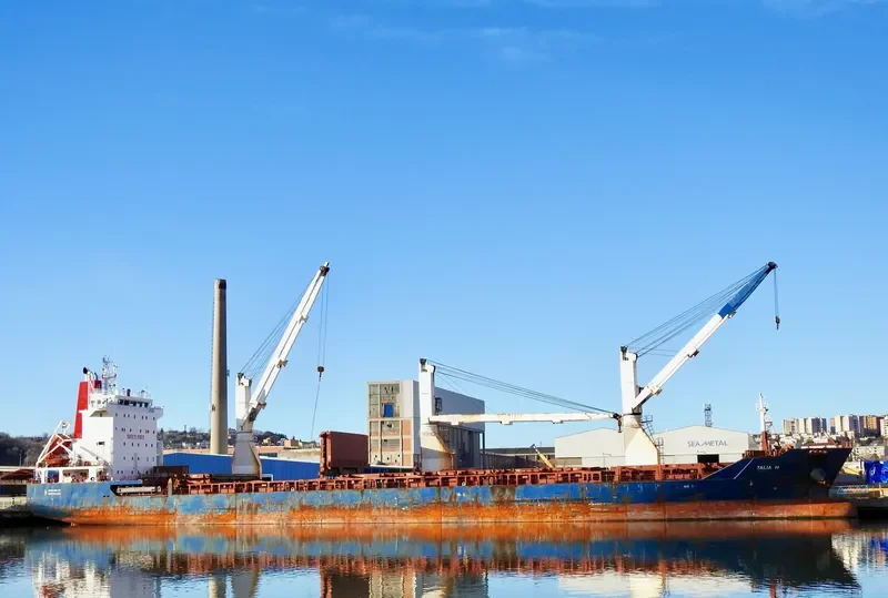 TALIA H General Cargo IMO 9359947 photo 4