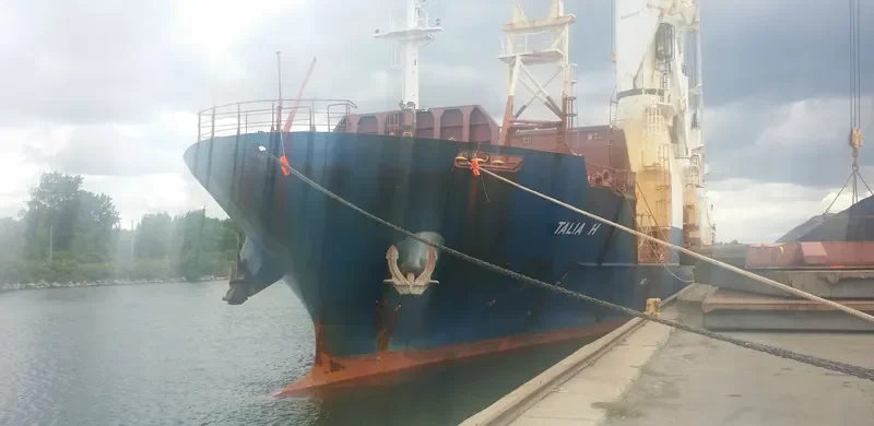 TALIA H General Cargo IMO 9359947 photo 5