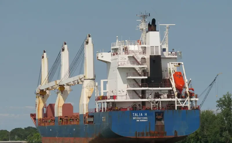 TALIA H General Cargo IMO 9359947 photo 6