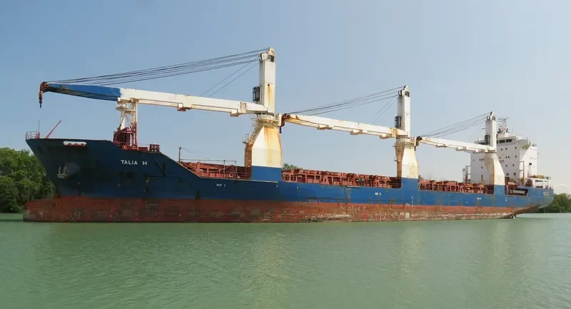 TALIA H General Cargo IMO 9359947 photo 8